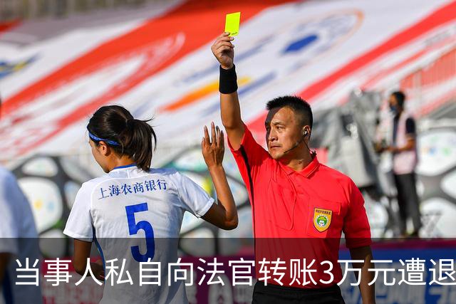 当事人私自向法官转账3万元遭退还，后虚构法官受贿并举报，纪检监察机关：犯诬告陷害罪被追究刑事责任