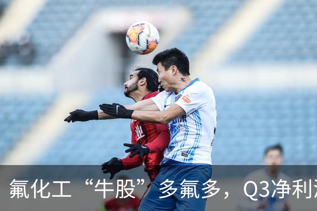 氟化工“牛股”多氟多，Q3净利润环比下降41%，股价较年内高点回撤56%
